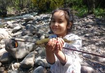  Situación de Pesca con Mosca de Trucha arcoiris– Foto por Gustavo Yañez en Fly dreamers