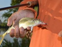 Foto de pesca con mosca