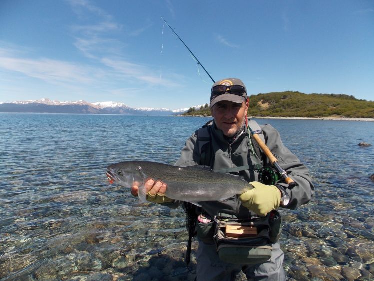 Plateada del lago vinter