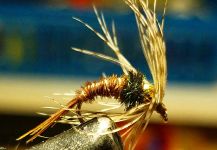 Fly tying 