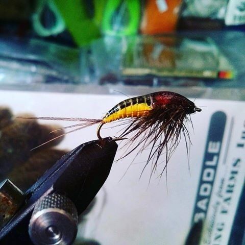 ninfa de efemera en hook 10, dubbing de ardilla, latex , pheasant tail