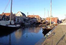 Harbor Fishing