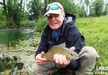 Bistra River, Bistra, Central Slovenia, Slovenia