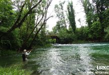 Arctic grayling Fly-fishing Situation – Uros Kristan shared this Image in Fly dreamers 