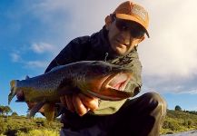 Rodo Radic 's Fly-fishing Pic of a von Behr trout | Fly dreamers 