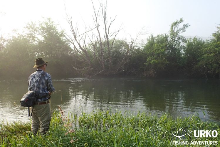 It's something magical about mornings at the river Unica