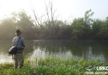 Fly-fishing Situation of Thymallus arcticus shared by Uros Kristan 