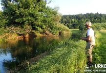 Fly-fishing Situation of Thymallus thymallus shared by Uros Kristan 