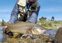 Rodo Radic 's Fly-fishing Pic of a Salmo fario | Fly dreamers 