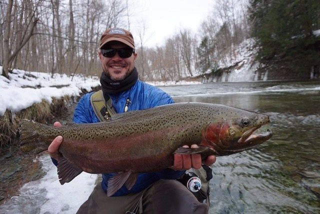 Lake Erie Steelhead