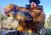 Fly-fishing Pic of Marrones shared by Rodo Radic | Fly dreamers 