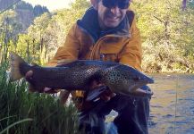 Rodo Radic 's Fly-fishing Photo of a Browns | Fly dreamers 