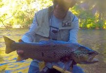 Fly-fishing Image of Salmo fario shared by Rodo Radic | Fly dreamers