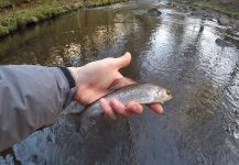 River Don, Sheffield, United Kingdom