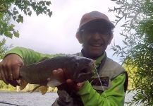 Fly-fishing Image of Rainbow trout shared by Rodo Radic | Fly dreamers