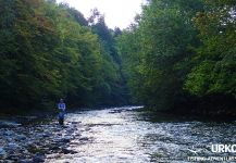  Fly-fishing Situation of European brown trout - Picture shared by Uros Kristan from Savinja River | Fly dreamers