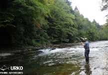 Impressive Fly-fishing Situation of Grayling shared by Uros Kristan from Savinja River 