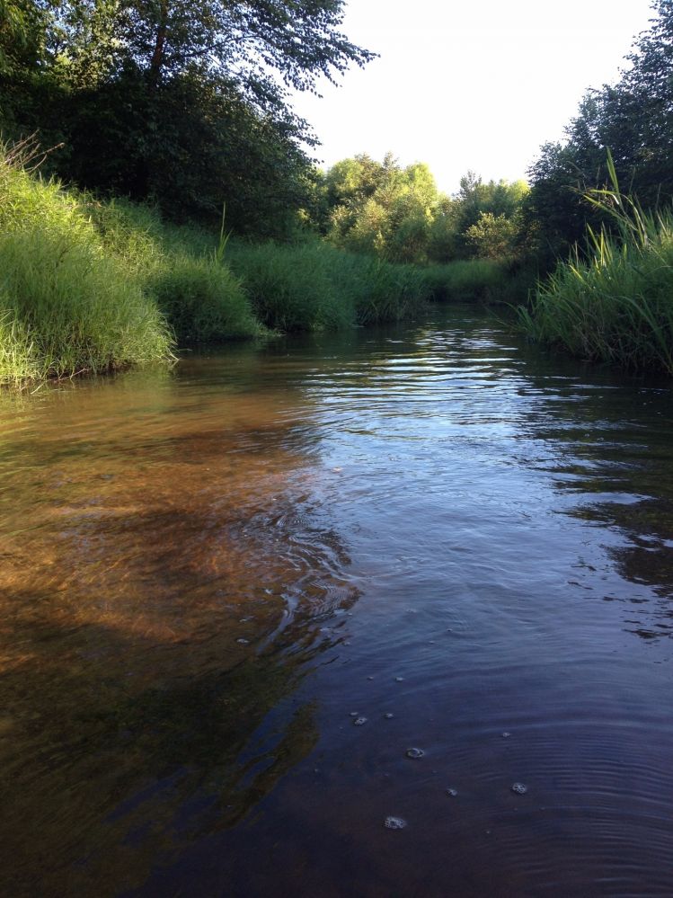 Peach Creek, my favorite creek