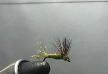 Flies for guide school 