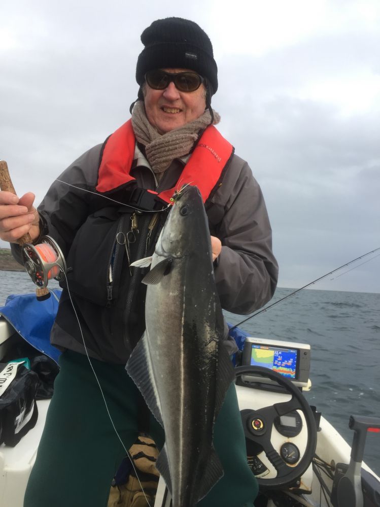 I had my best days winter fishing on the fly ever on Sunday. Over 100 coalfish to the boat including this beauty. 