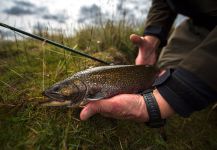  Foto de Pesca con Mosca de trucha fontinalis compartida por Juan Manuel Biott | Fly dreamers