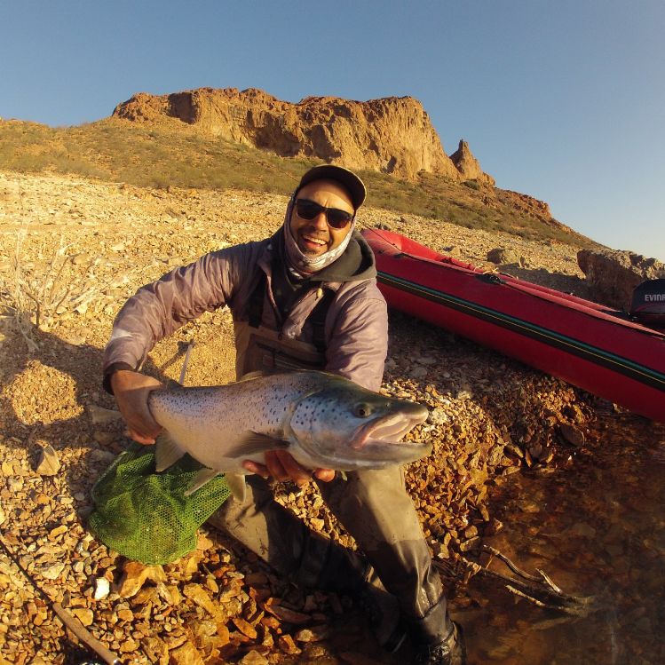 Marrones del Río Chubut inferior,
Flotadas de uno, dos y tres días, un lugar increíble para descubrir.
Info@costasdepatagonia.com