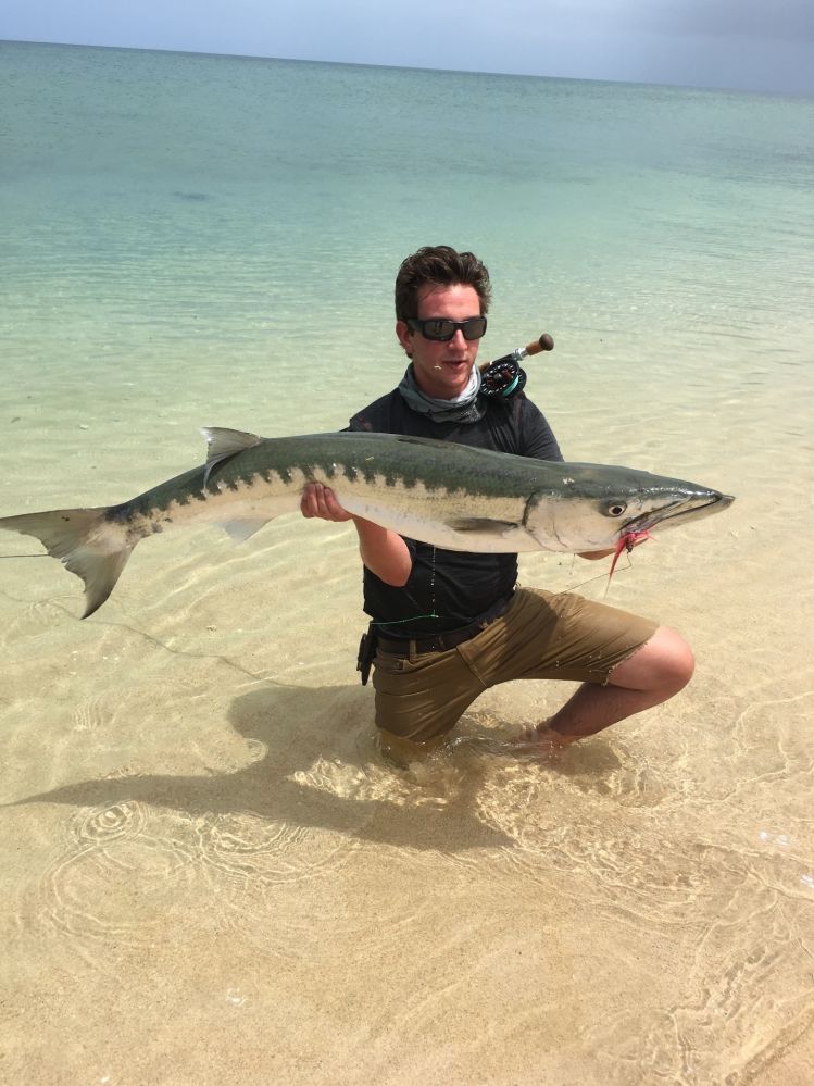 Aussie cudda from the Beach 