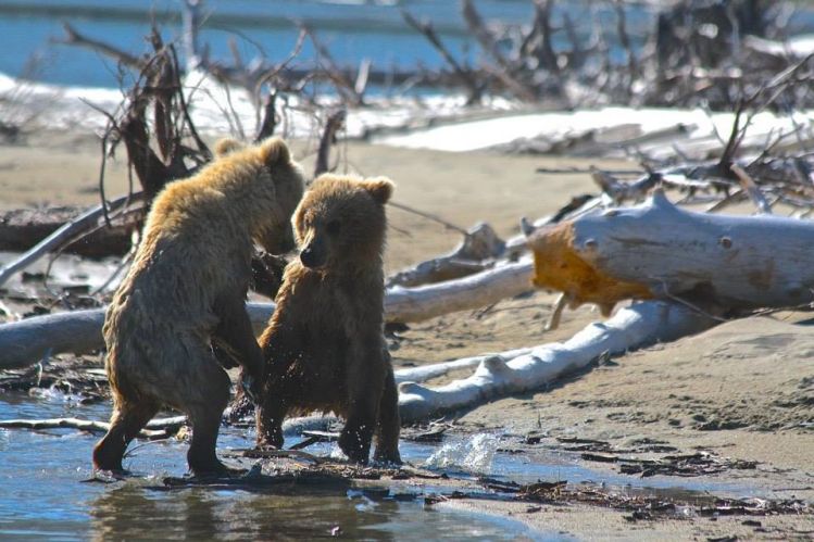 Just playing on the beach.