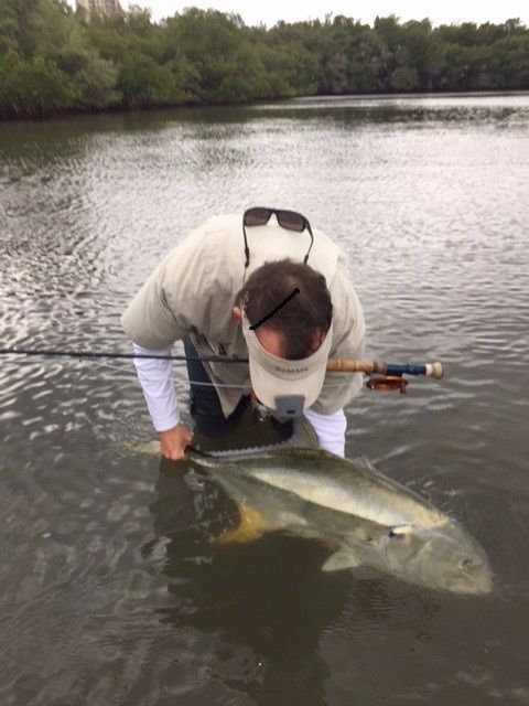 the release after 1 hr and ten minute battle...best fight i have ever had on fly in .....maybe ever...see him swim away strong ...nothing makes me happier.Been a long time coming.Tight lines to all !