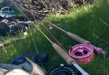 Fly-fishing Situation of Rainbow trout - Picture shared by Rodo Radic | Fly dreamers