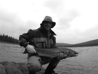 Fly fishing picture