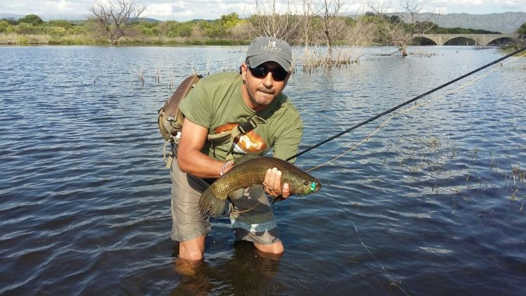 Tarariras en aguas cristalinas-Cruz del Eje- Córdoba