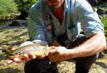  Fly-fishing Situation of English trout - Picture shared by Uros Kristan from Radovna River | Fly dreamers