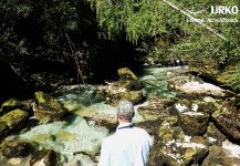 Rainbow trout Fly-fishing Situation – Uros Kristan shared this Photo from Radovna River in Fly dreamers 