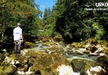 Salmo trutta Fly-fishing Situation – Uros Kristan from Radovna River shared this Image in Fly dreamers 