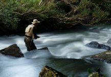 Rainbow trout Fly-fishing Situation – Edevar Zorrer shared this Image in Fly dreamers 