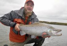 Fly-fishing Situation of Salmo fario - Photo shared by Scott Marr | Fly dreamers 