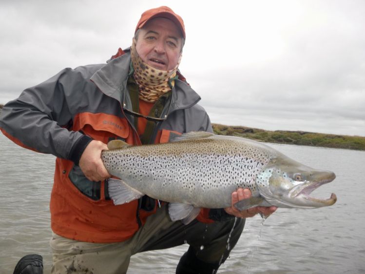 Sea Trout, Tierra Del Fuego