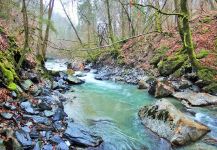 brown trout Fly-fishing Situation – BERNET Valentin shared this Image in Fly dreamers 