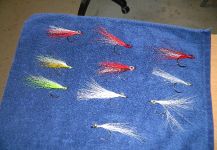 Fly-tying for Western Australian salmon - Photo shared by Kellyanne Gill | Fly dreamers 