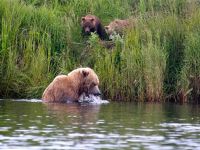 Fly fishing picture