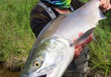 Alagnak River, Alaska, King Salmon, Alaska, United States