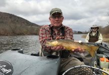 Fly-fishing Pic of Salmo trutta shared by Michael Gartland | Fly dreamers 