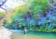 Loch Leven trout German Fly-fishing Situation – BERNET Valentin shared this Image in Fly dreamers 