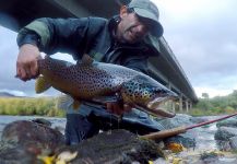 Rodo Radic 's Fly-fishing Catch of a Brownie | Fly dreamers 