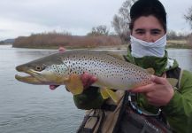  Foto de Pesca con Mosca de Salmo trutta compartida por Jimbo Busse | Fly dreamers