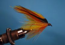  Mosca para Salmo trutta compartida por Jimbo Busse | Fly dreamers 