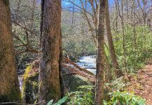 Hazel Creek, Fontana Lake, North Carolina, United States