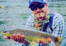  Imagen de Pesca con Mosca de Salmo fario compartida por The Lucky Flyfisher | Fly dreamers