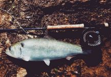 Nice Fly-fishing Photo by The Lucky Flyfisher 